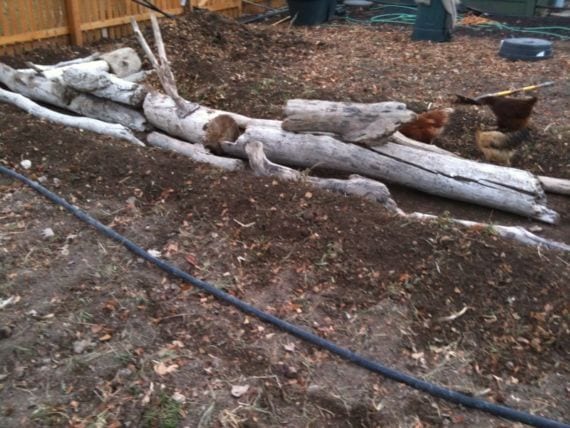 Hugelkultur: bancal de madera enterrada paso a paso