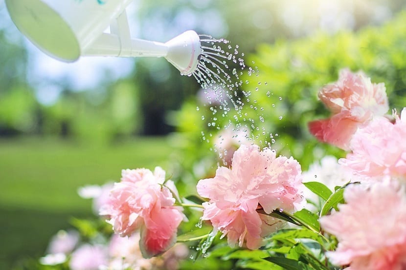 Herramientas para ahorrar agua