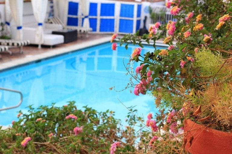 Jardín con piscina rodeada de vegetación