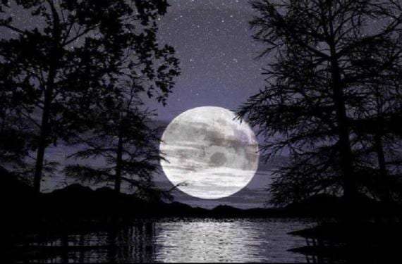 Fases lunares y cultivo: qué efecto real tiene la Luna