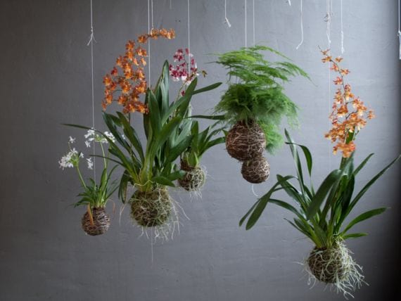 Jardineras caseras: cómo hacerlas para que las plantas vivan
