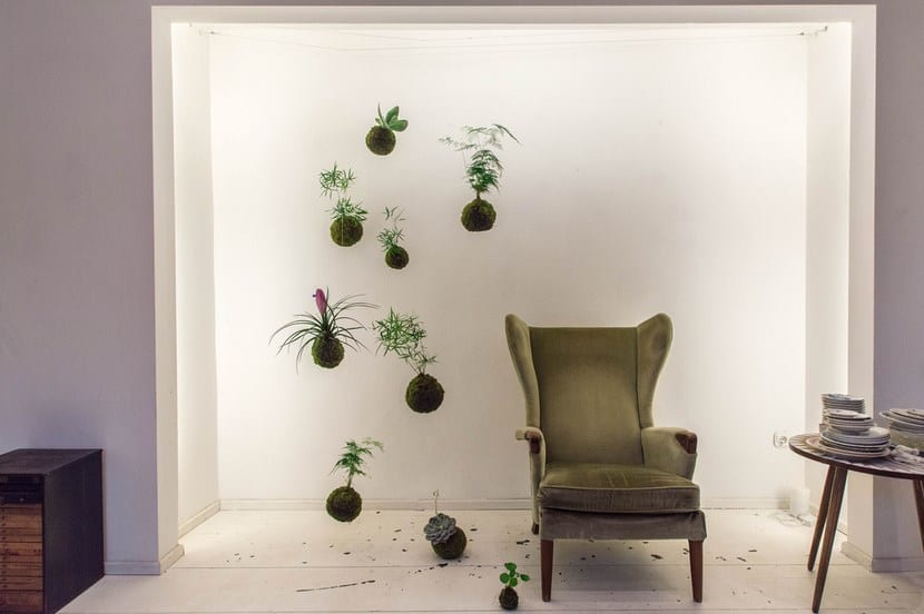 kokedama-4