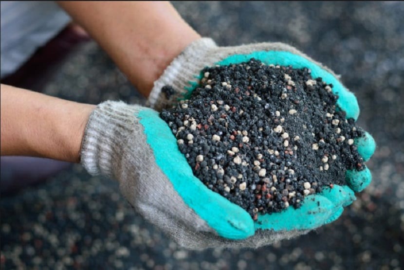 abono foliar plantas