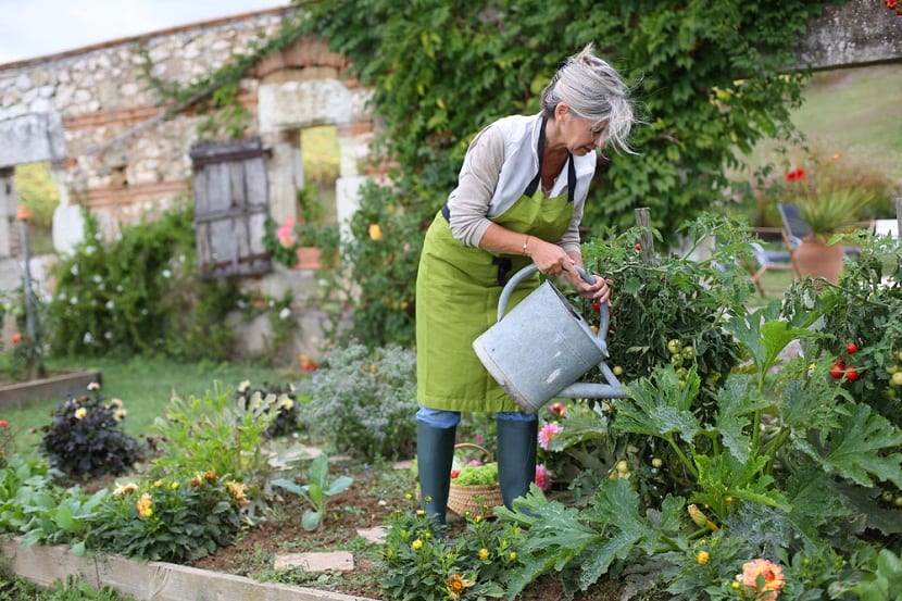 Jardinería ecológica y biodiversidad: guía práctica