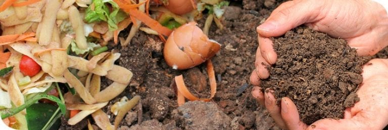 Productos naturales para el mantenimiento de un jardín ecológico