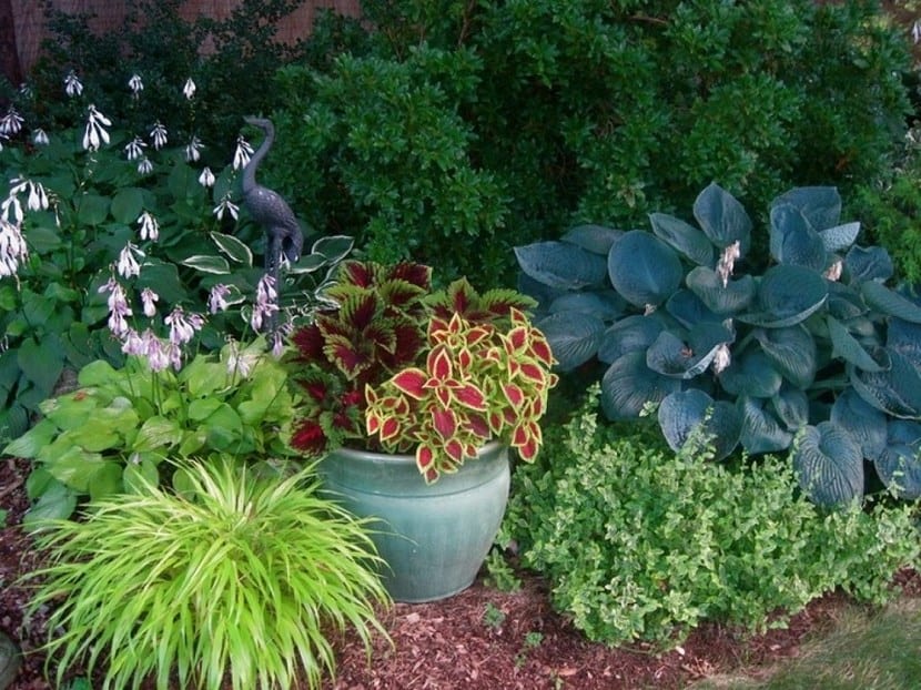 Jardín