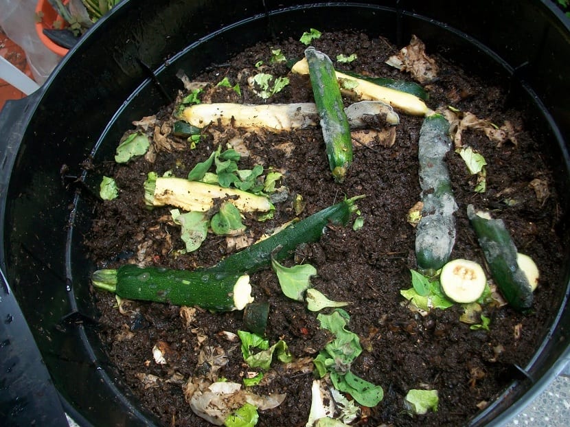 Vermicompostaje