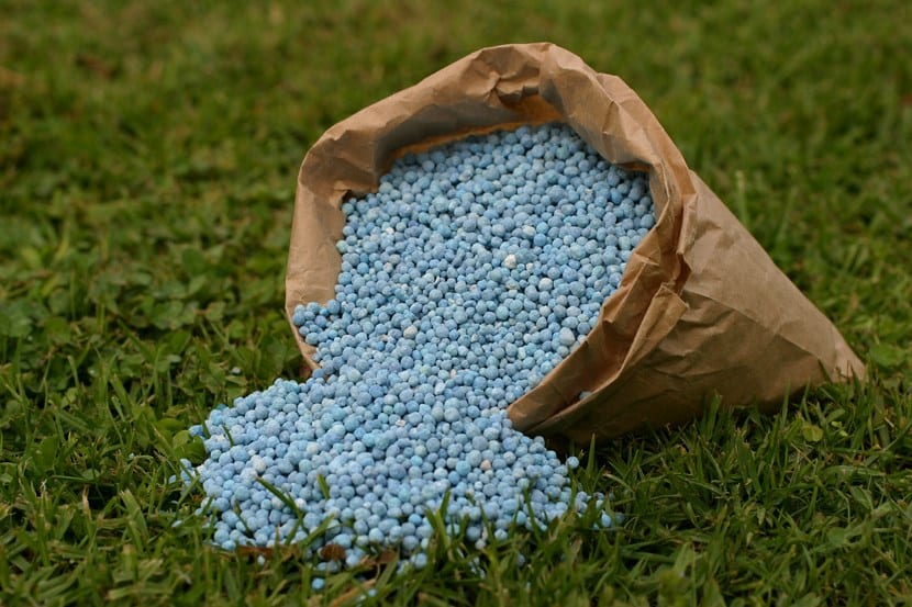Abonos químicos para plantas: leer el NPK y usarlo bien