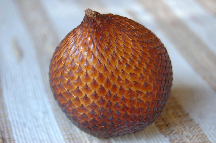 Salacca zalacca