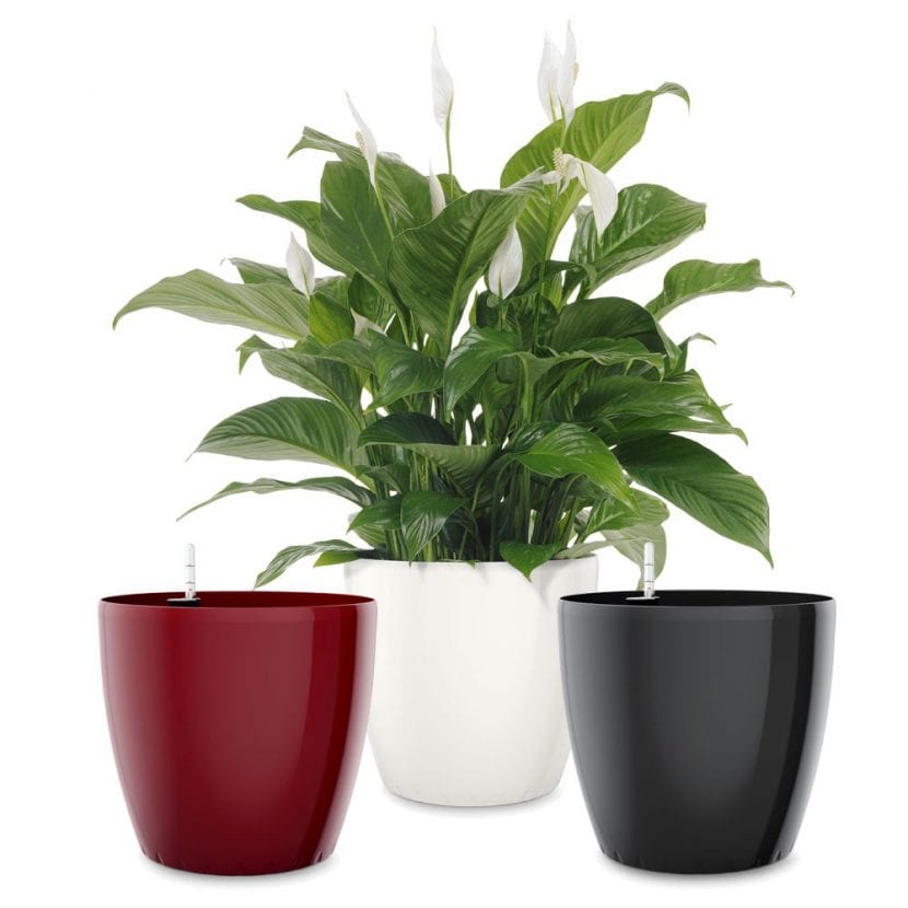 Macetas de autorriego