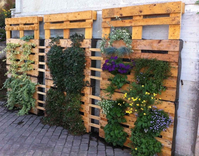 Macetas hechas con pallets