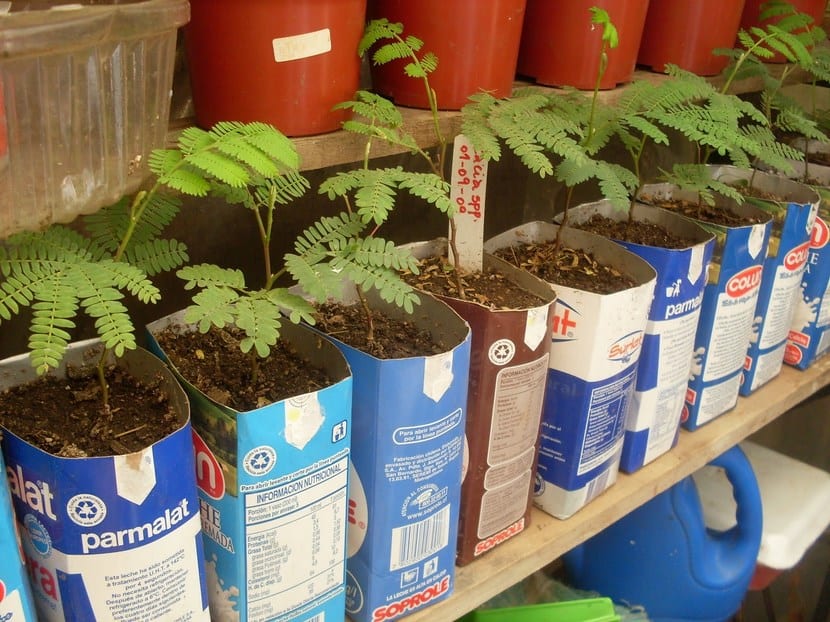 Macetas recicladas