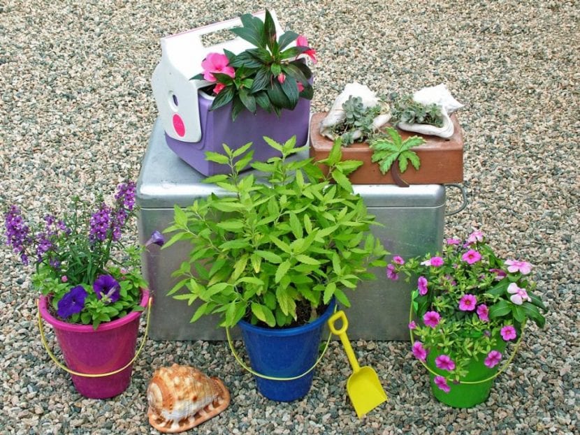 Plantas en juguetes para niños