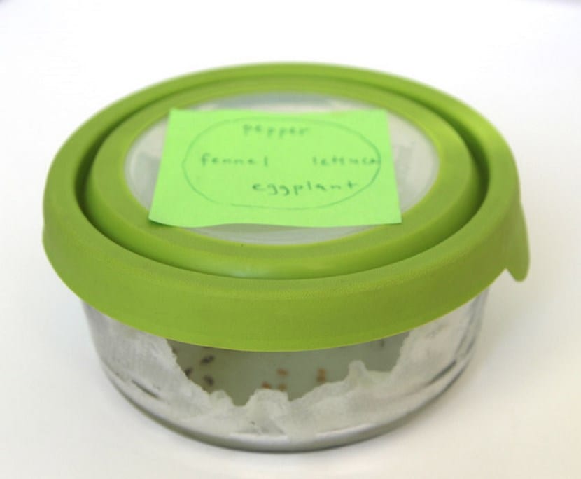 Método de pre-germinación
