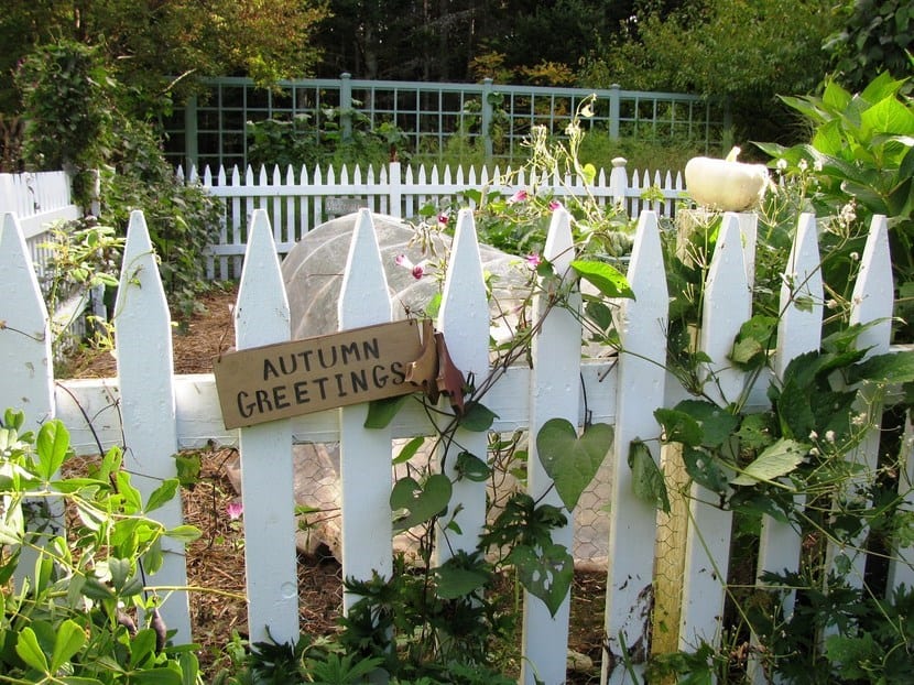 Jardín en otoño