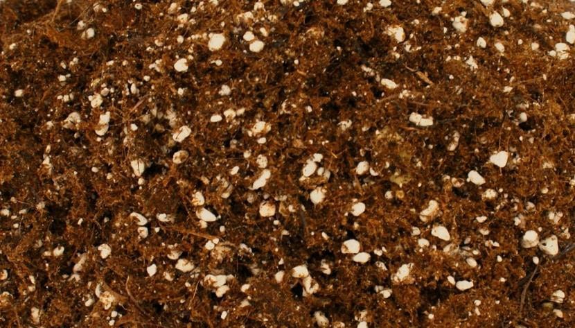 Sustrato para plantas