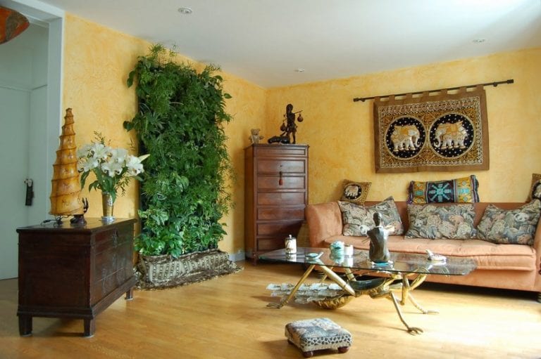 Plantas de interior en un salón luminoso