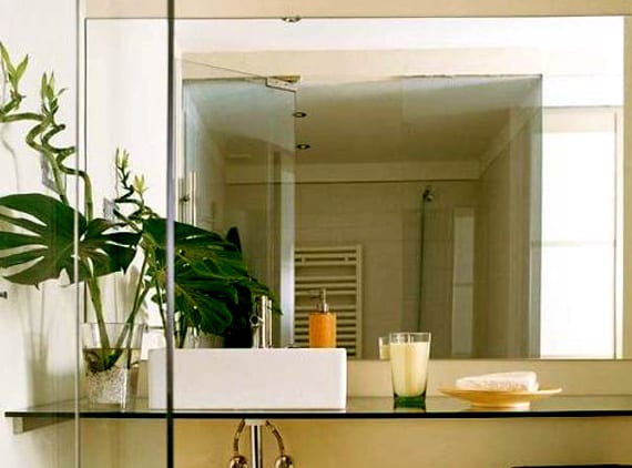Planta en el cuarto de baño