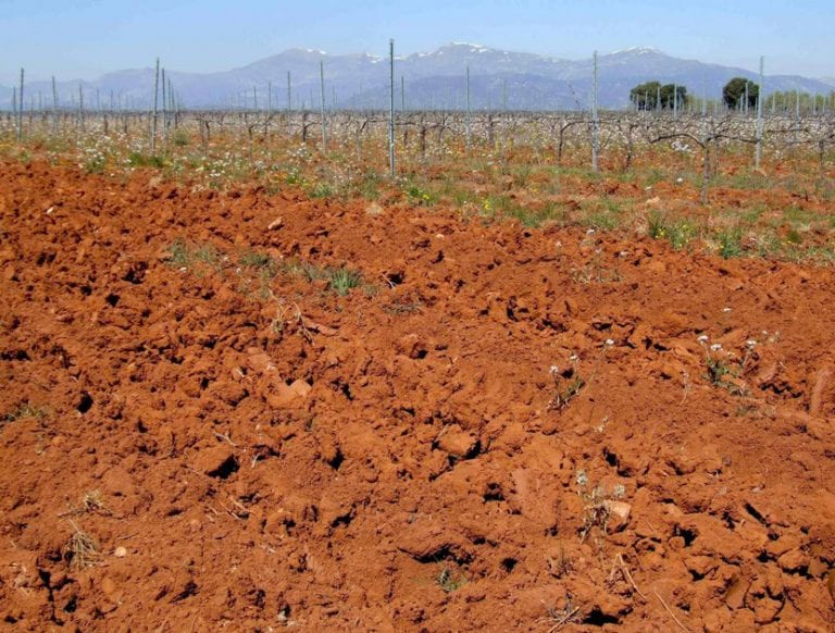 Suelo arcilloso agrietado por la desecación