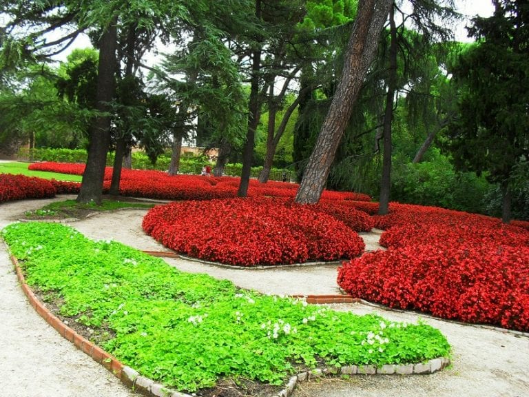 Plantas tapizantes creciendo entre las losas de un camino de jardín