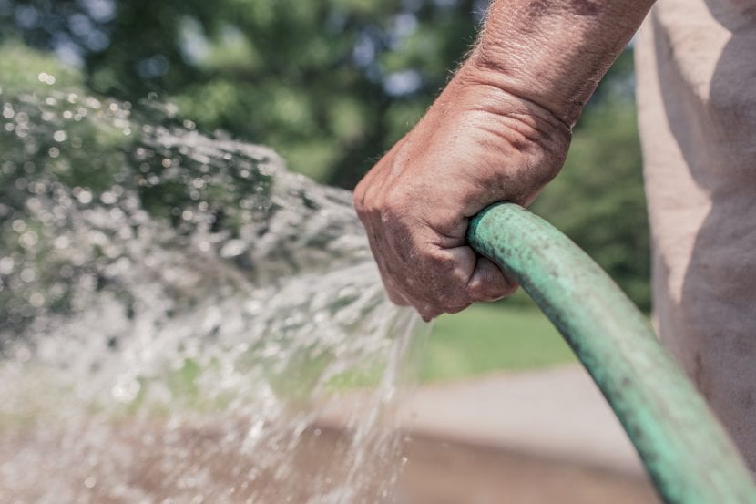 Regar con un agua demasiado calcárea no es bueno para las plantas ácidas