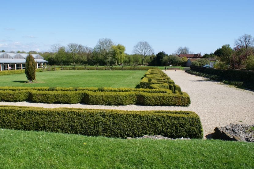Un seto formal es la opción ideal para todo tipo de jardines