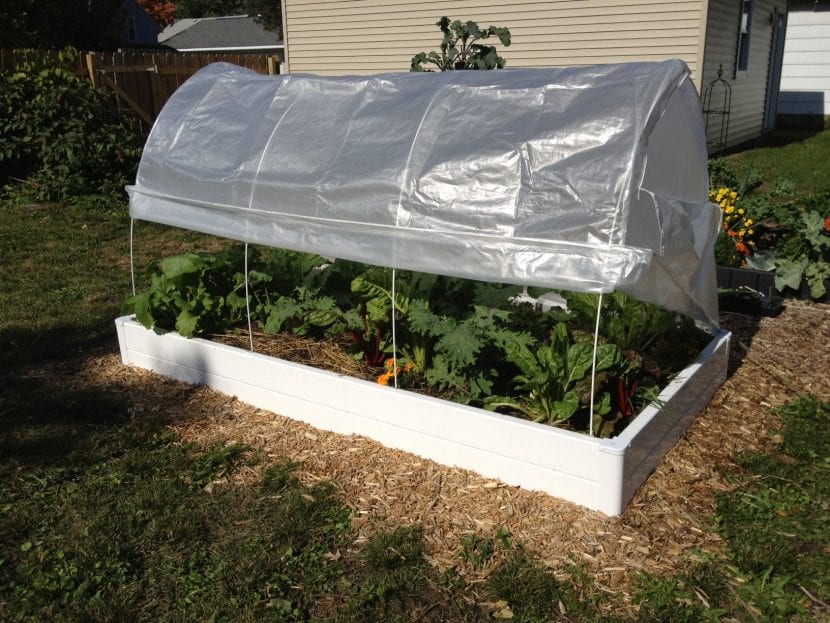Cama fría para plantas