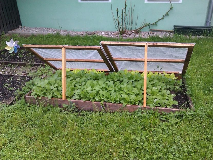 Cama fría para verduras