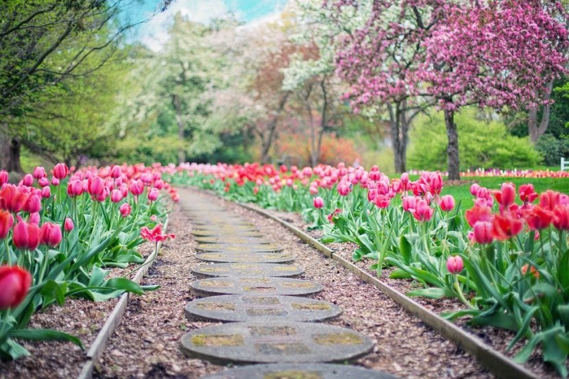 Marzo es un buen mes para el jardín