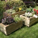 Jardineras con flores