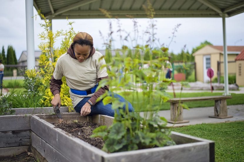 La jardinería es una experiencia maravillosa
