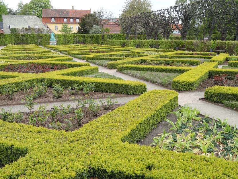 Un parterre de jardín botánico