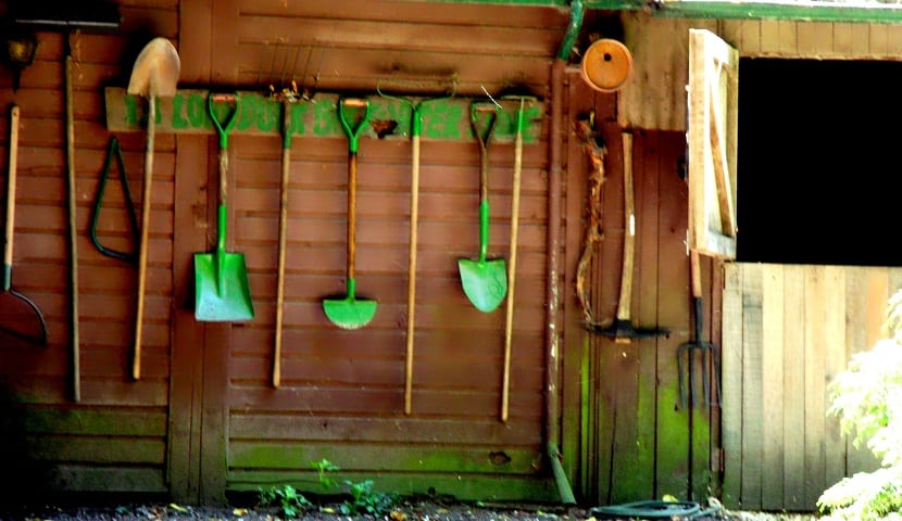 Regalos de jardinería para el Día del Padre con criterio
