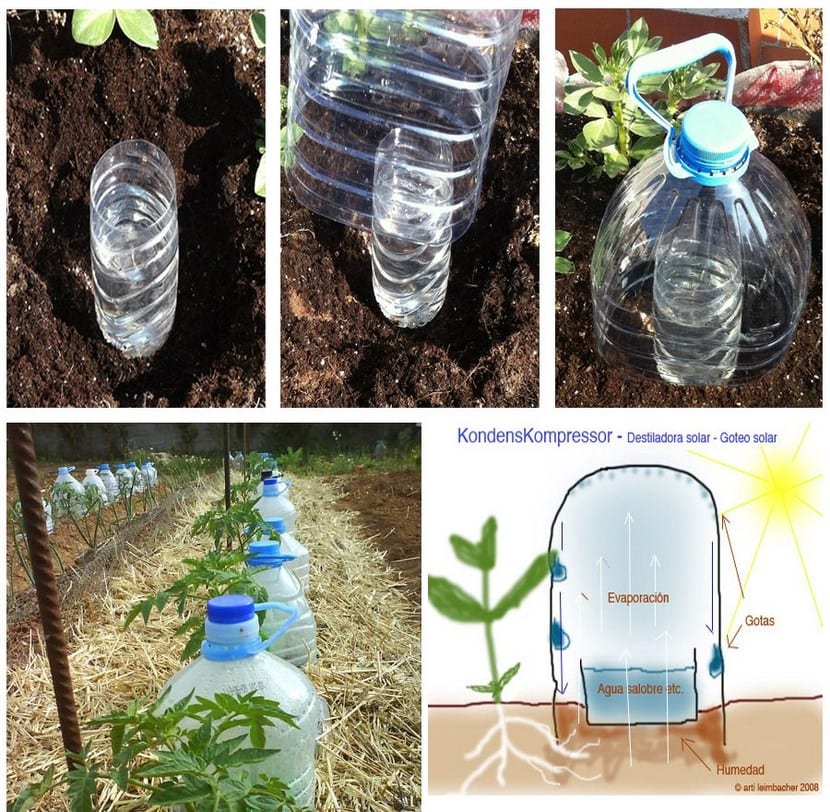 Riego automático con agua de mar: instalación y casos reales