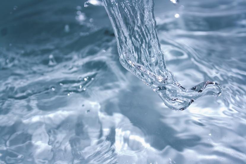 ¿Se puede regar con agua de mar? La respuesta y el porqué
