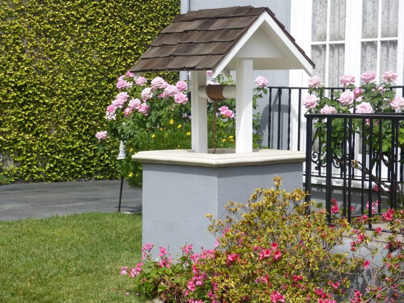 Jardín con plantas y zona ajardinada de una vivienda