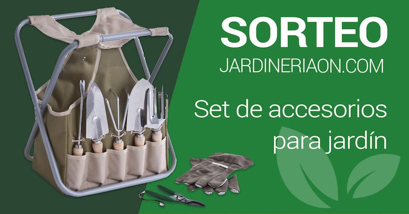 Set de herramientas de jardín: qué sirve y qué no
