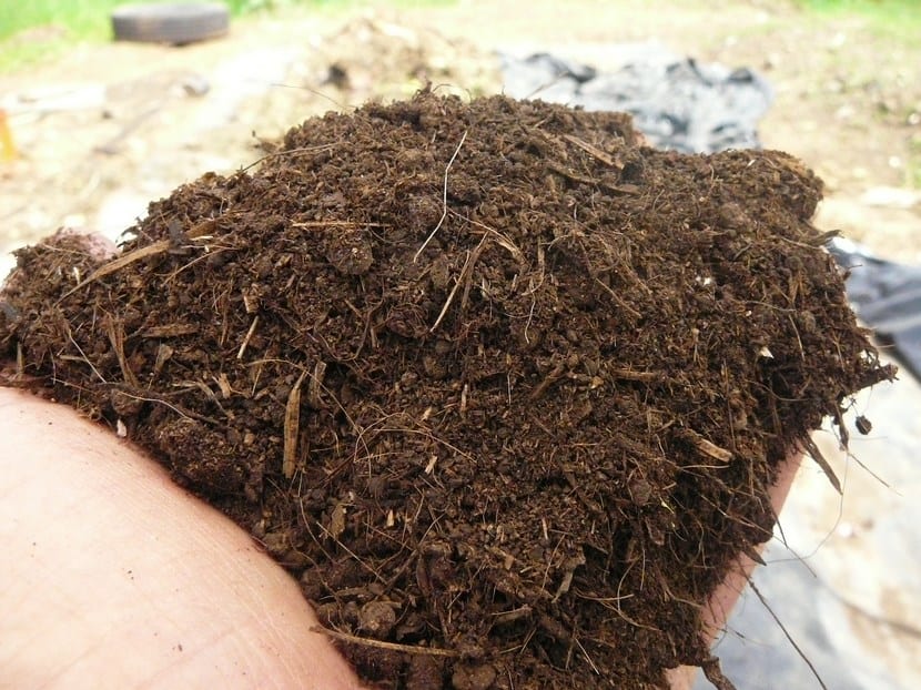 Abono orgánico
