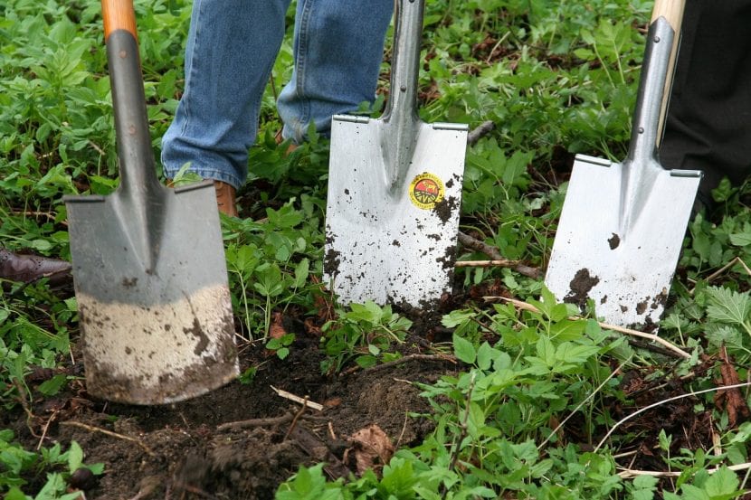 Jardineros con palas
