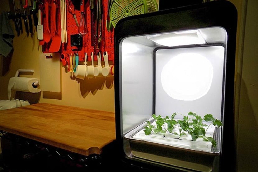 plantas dentro de un pc y con luz para que crezcan mas rapido
