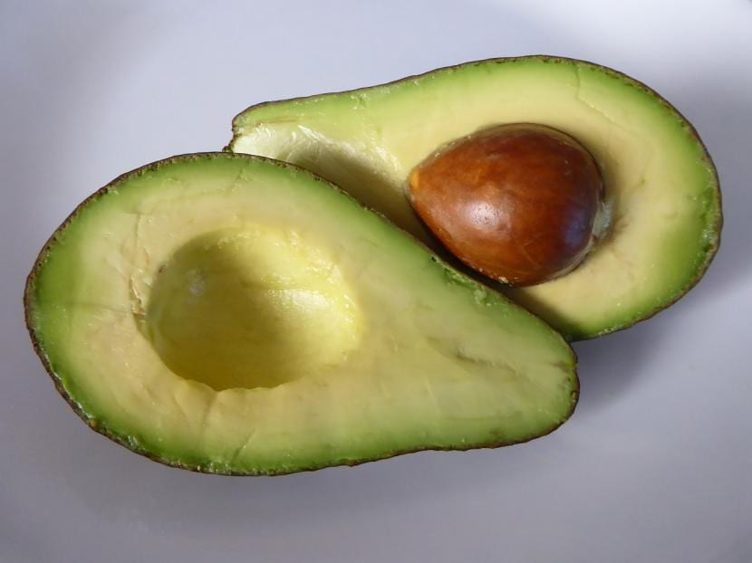 Tipos de aguacate: razas, variedades y polinización