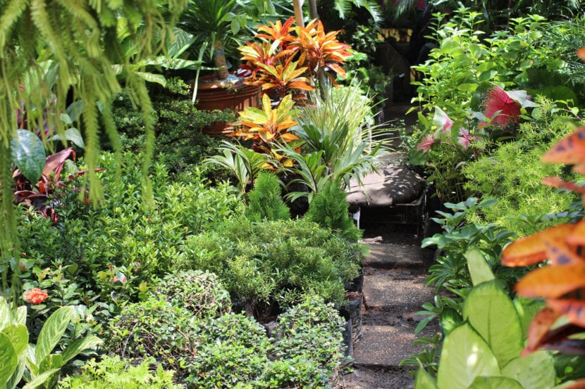 Jardín tropical