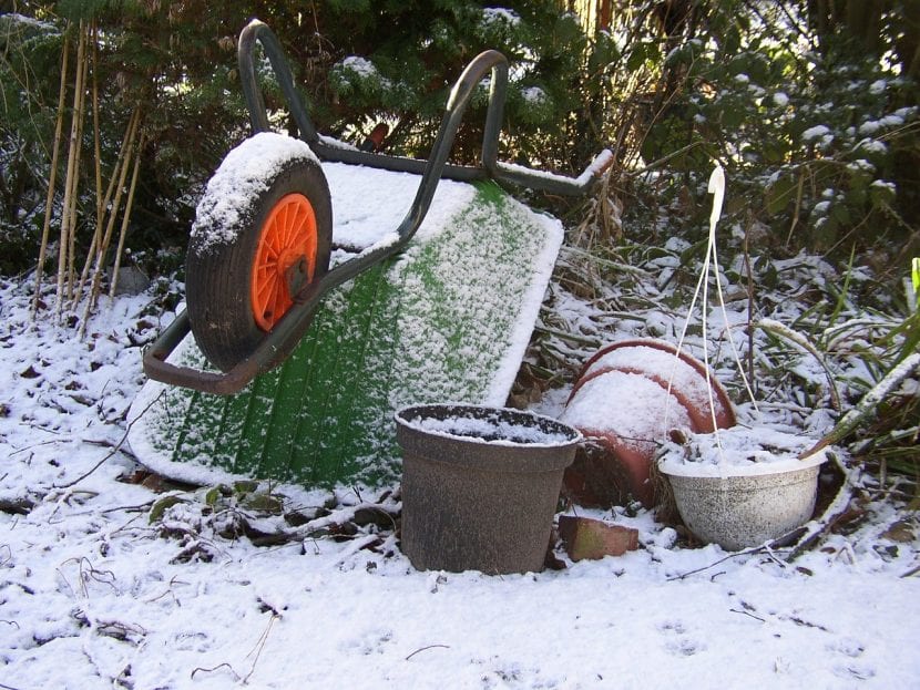 Invierno en el jardín