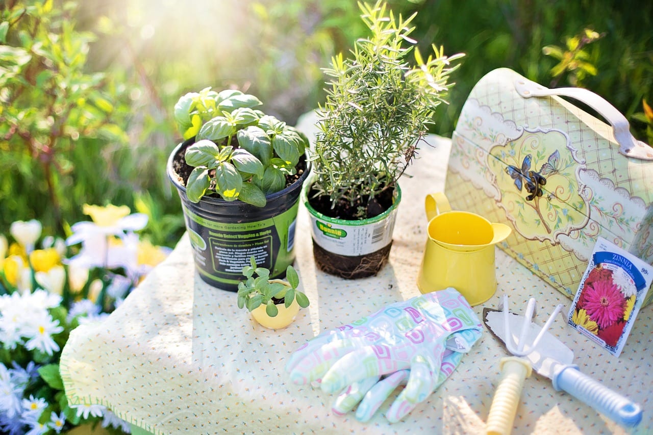 Trucos de jardinería: herramienta, taller y cuaderno