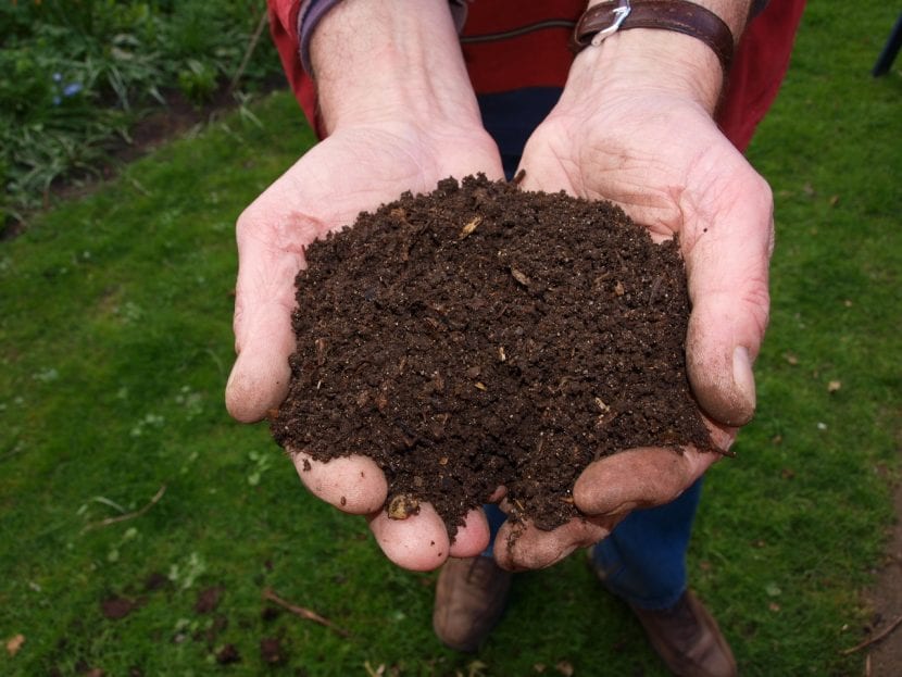 Abono aplicado a la tierra de una planta