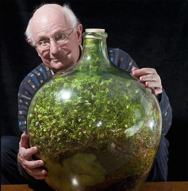 David Latimer con su jardín