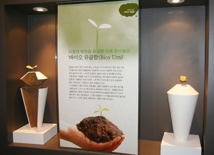 Urnas biodegradables y ecológicas