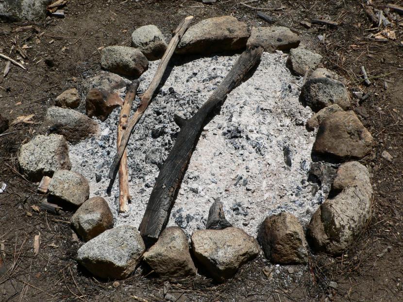 Cenizas de madera en el jardín: cuándo sí y cuándo no