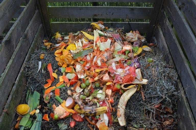 Compost casero con restos vegetales