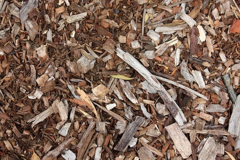 Ventajas del acolchado en jardinería y huerto